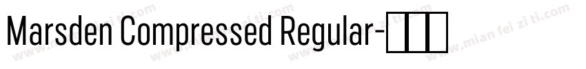 Marsden Compressed Regular字体转换